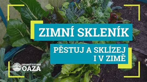 Ilustrácia ruží v nádobách pripravených na zimu
