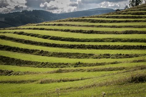 Terasovité ryžové polia v Ázii