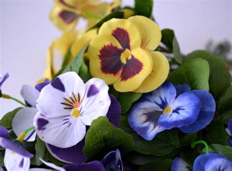 Schéma háčkovanej macešky