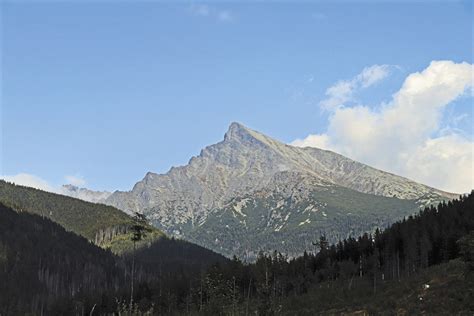 Prehľad produktov a služieb kvetinárstva Kriváň
