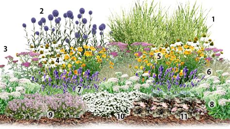 Slnečné stanovište pre fotíniu