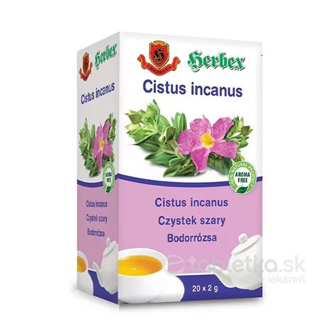Čaj zo skalnej ruže