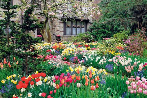 Rozkvitnutá jarná záhrada plná farieb