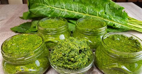 Pesto z mladých listov púpavy