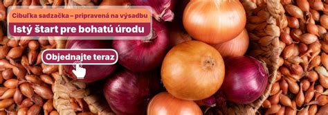 Zdravé a kvalitné cibuľky kvetov