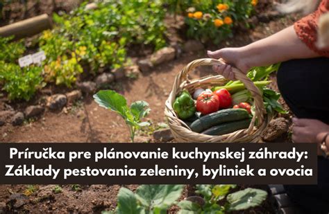 ukážka integrovaného pestovania zeleniny na poli
