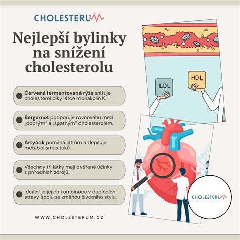 Schematické znázornenie účinkov saponínov na cholesterol