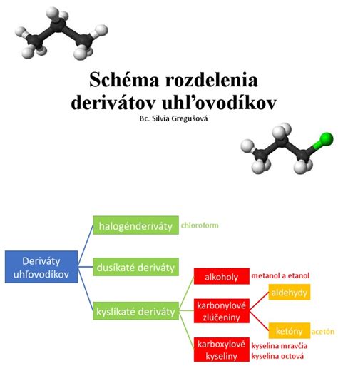 Schéma rozdelenia rastlinných orgánov
