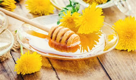 Recept na púpavový med