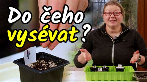 Schéma správneho presádzania sukulentov do priepustného substrátu