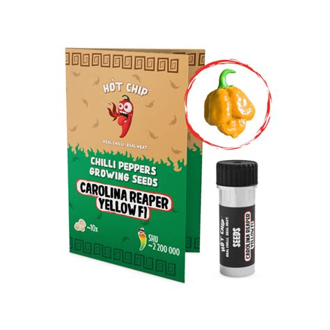 Ilustrácia klíčenia semienka chilli papričky