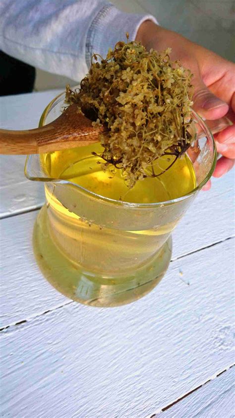 Bazový čaj pre zdravie