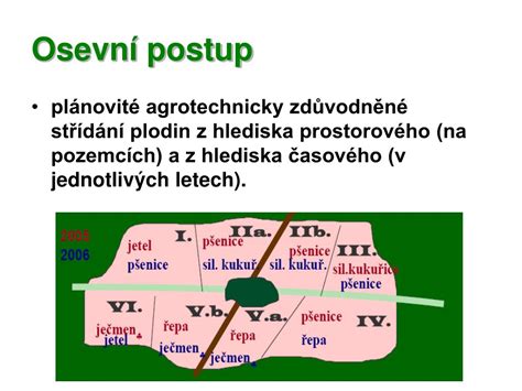 Trojhonový osevný postup
