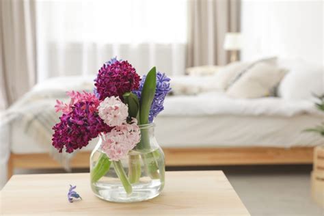 Hyacinty v kytici ako symbol jari a vernosti