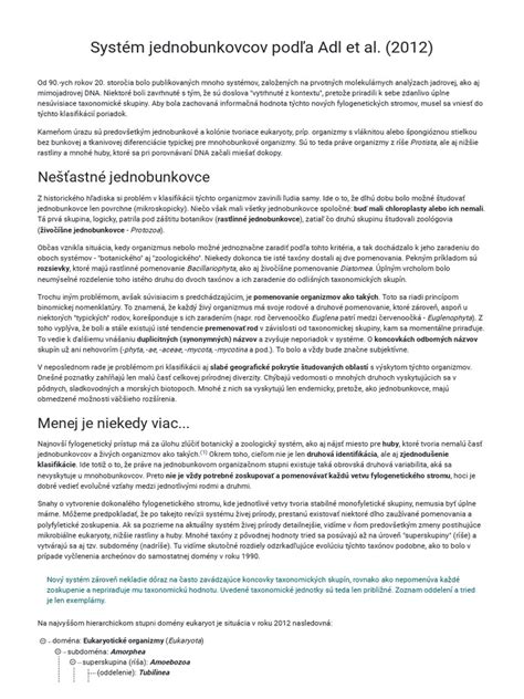 Diagram binárneho delenia a pučania jednobunkovcov