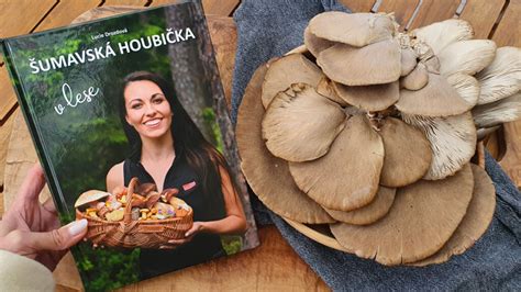 Hliva na drevených klátoch