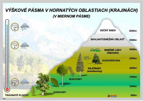 Vertikálne vegetačné stupne Vysokých Tatier s typickými rastlinami