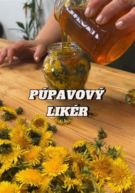 Púpavový olej v fľaštičke na drevenom stole
