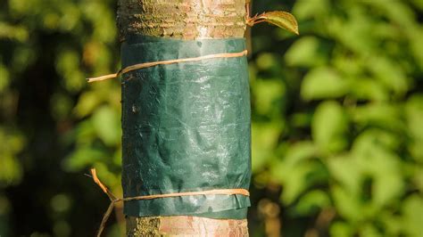 Ochrana rastlín pred škodcami