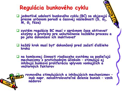 Grafické znázornenie bunkového cyklu