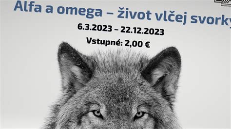Štruktúra vlčej svorky