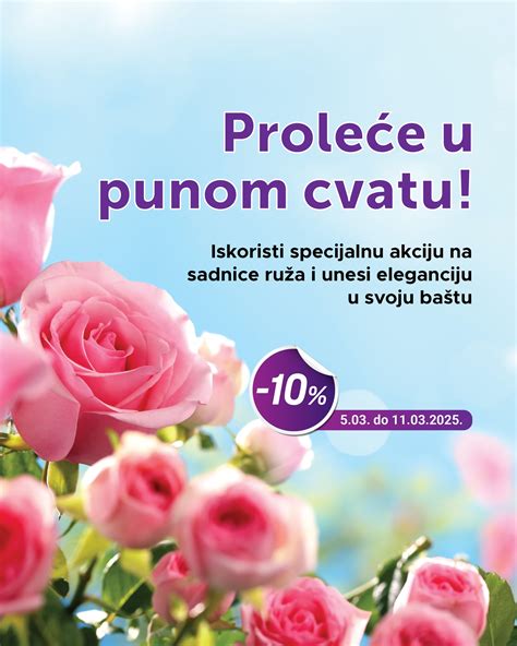 Rez miniruže