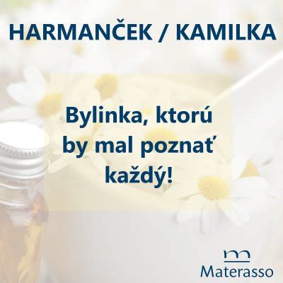 Infografika: Liečivé účinky rumančeka kamilkového