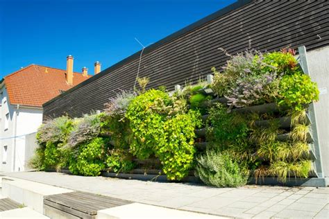 Príklady vertikálnych záhradných systémov