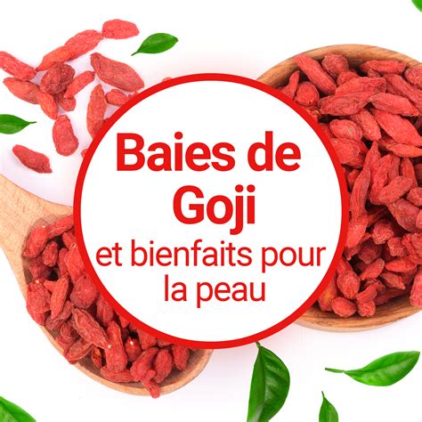 Schéma rezu goji