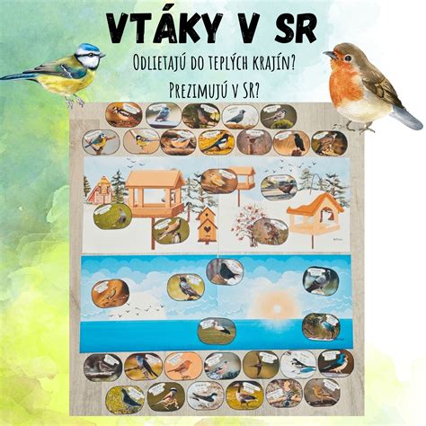 Vtáky migrujúce na juh