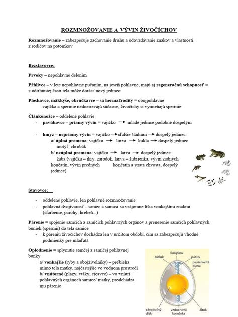 Rozmnožovanie lopatkovca delením