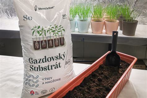 Vhodný substrát na zakoreňovanie odrezkov