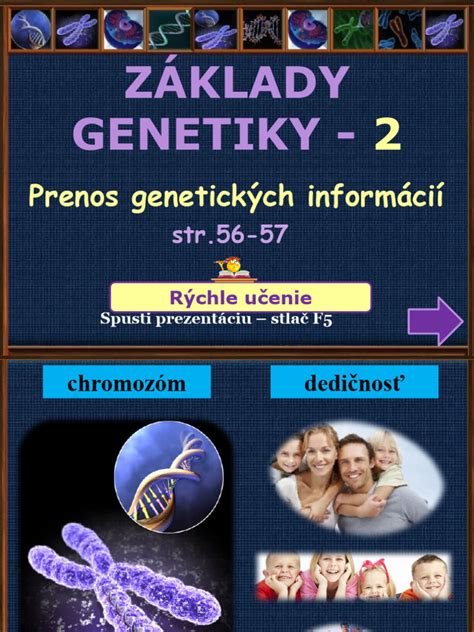 Schéma genetickej rozmanitosti prvosienok