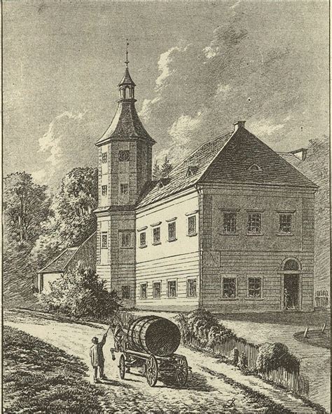 Kresba koly končistej