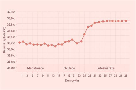 Graf ideálnej teploty pre rastliny v rôznych fázach rastu