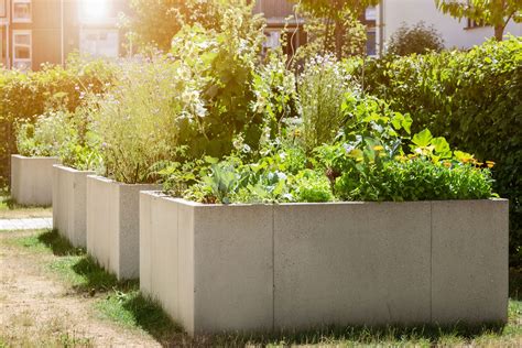 Plán výsadby vo vyvýšenom záhone