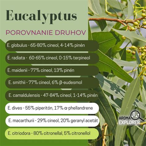 Infografika: Prehľad prírodných hnojív a ich účinky