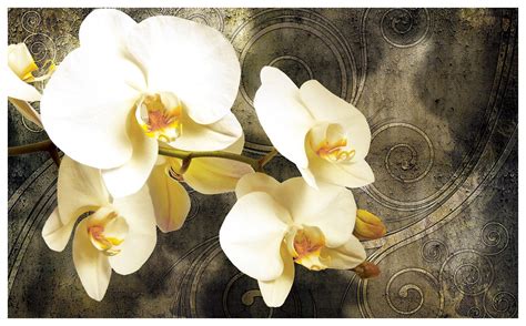 obrázok orchidey na plátne