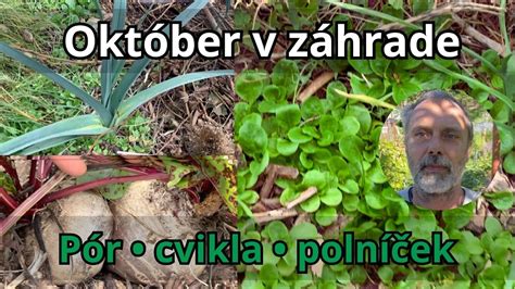 Zrelý pór v záhrade