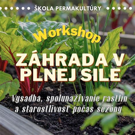 Zeleninová záhrada v plnej kráse