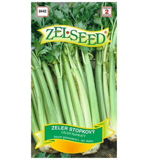 Zeler stopkový na záhrade