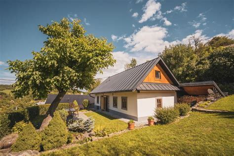 Pole rozkvitnutých nechtíkov lekárskych na slnečnom mieste