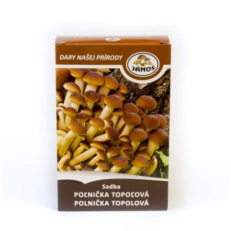 Príprava substrátu a očkovanie sadbou
