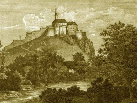 Historická ilustrácia z obdobia tulipánovej horúčky v Holandsku