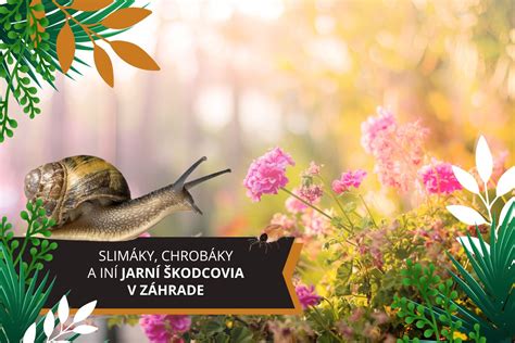 Škodcovia chrenu: skočka a slimáky