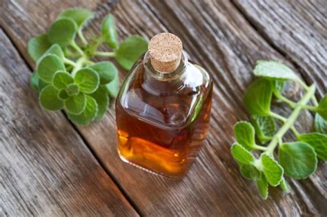 Domáci sirup z nádchovníka a citrusov