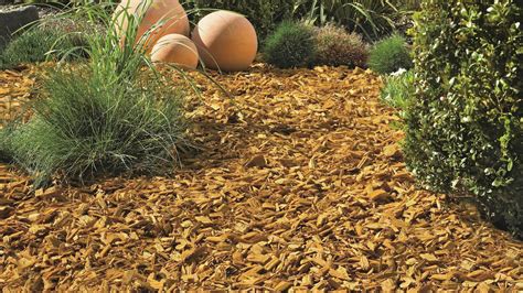 Zavlažovanie a mulčovanie šalotky