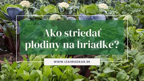 Záhradníčka plánuje zeleninové hriadky