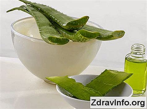 Aloe vera šťava v pohári s listami aloe