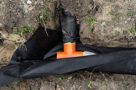 Schéma presádzania zamiokulkasu s dôrazom na drenáž